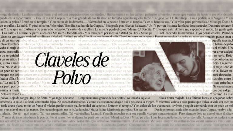 Afiche de Claveles de Polvo