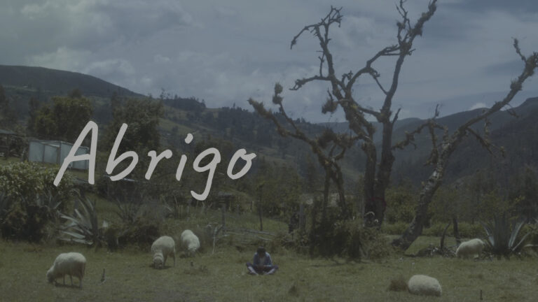 Afiche de Abrigo