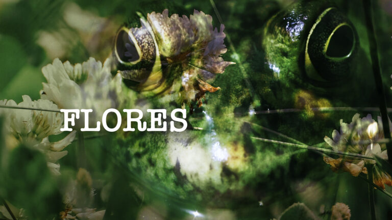 Afiche de Flores